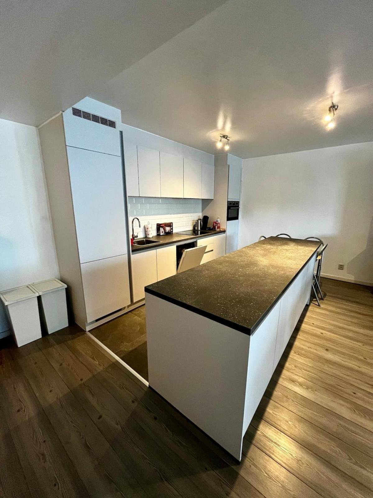 Big Apartment With Parking In 安特卫普 外观 照片